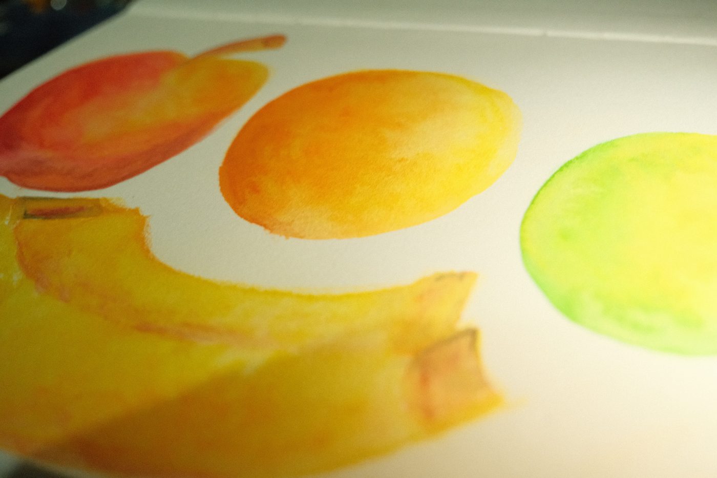 Mi nuevo mundo como adulto