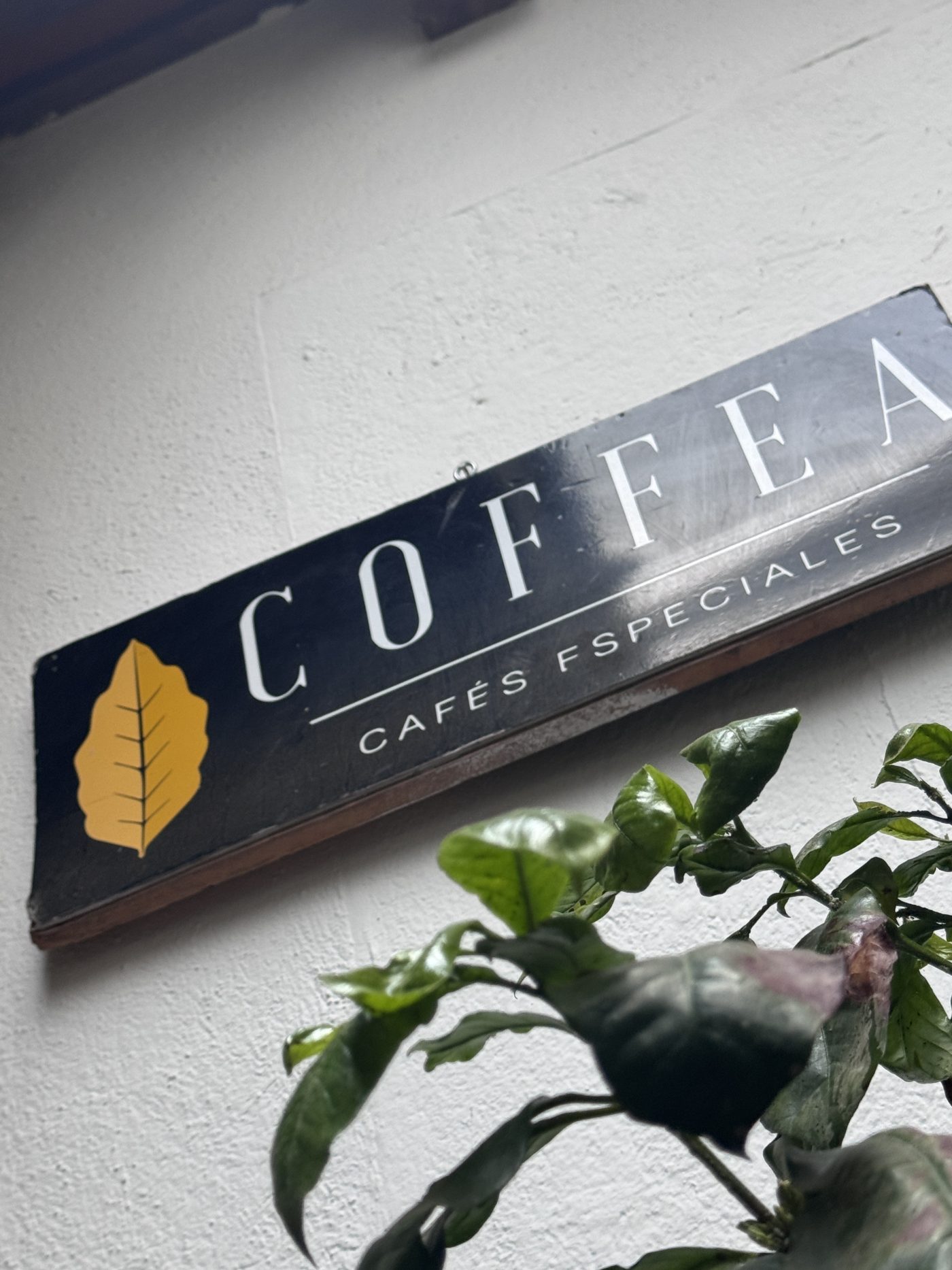 Geometrías topológicas