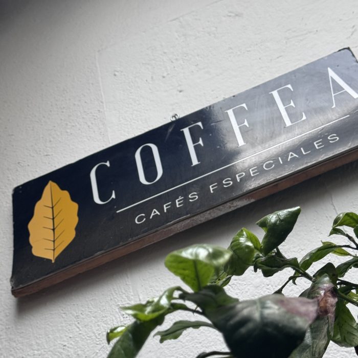 Geometrías topológicas